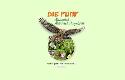 https://www.doitweb3.de/bigfive