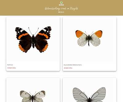 https://www.doitweb365.de/schmetterlingsapp/